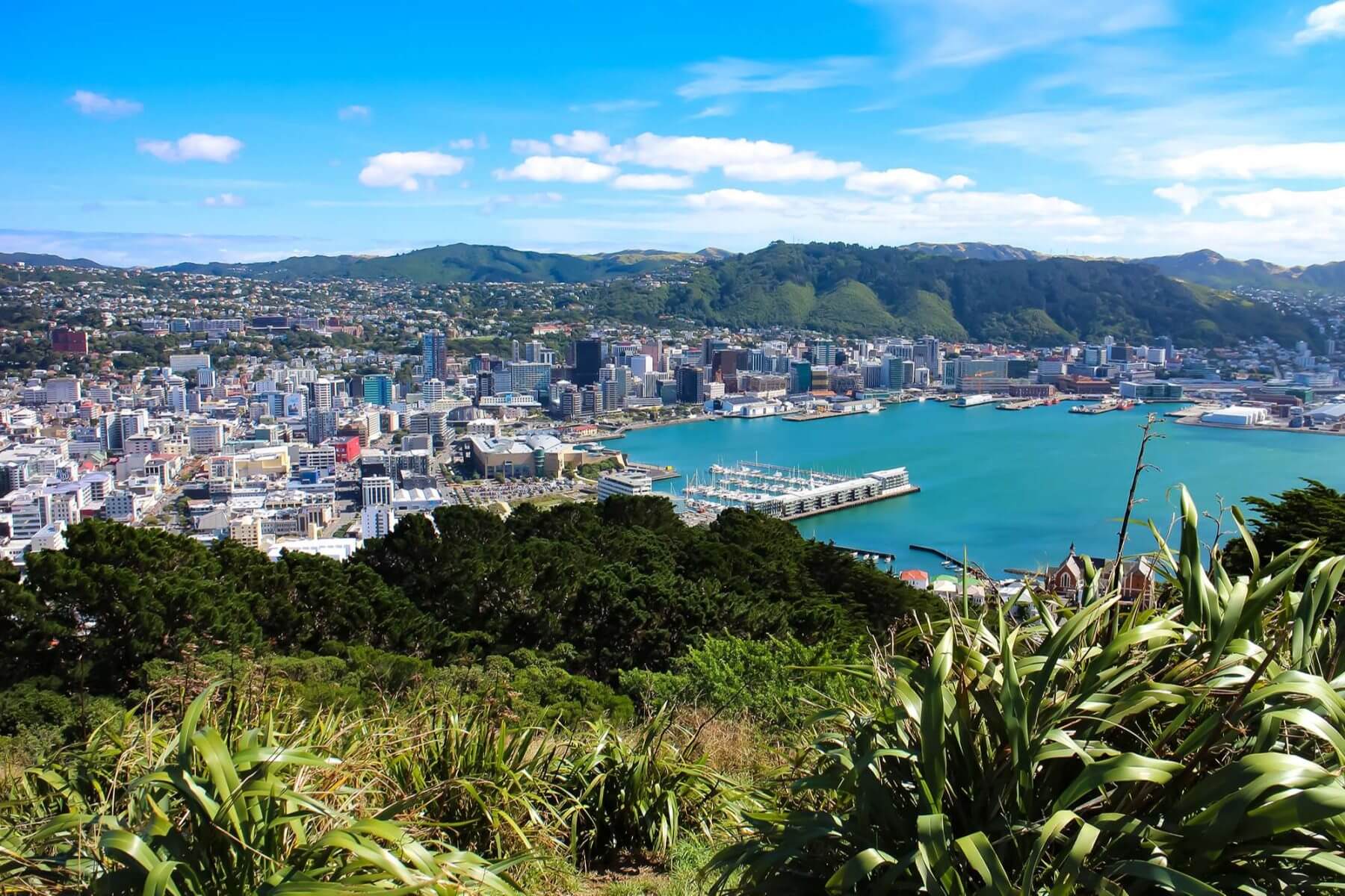 NEW ZEALAND